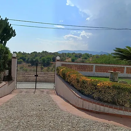 Da Uccio *
