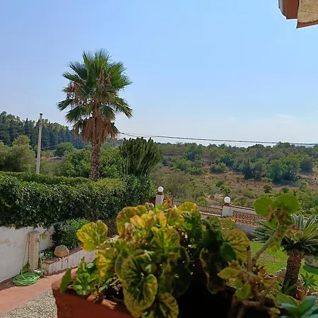 Da Uccio